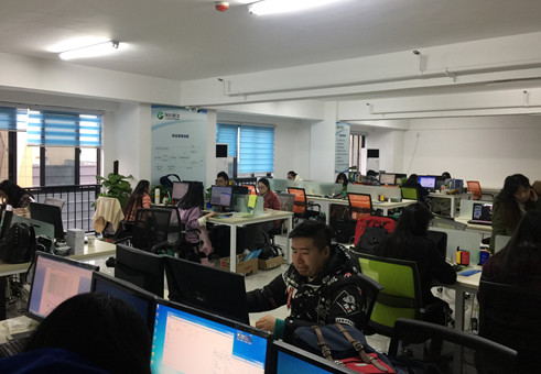 DB真人旗舰翻译公司审校部办公场景